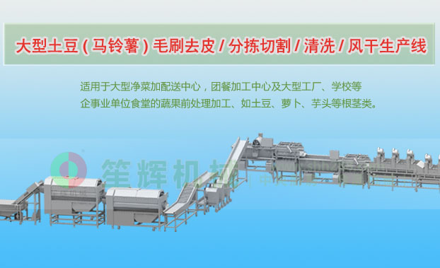 泌阳连续式土豆去皮清洗切割风干生产线